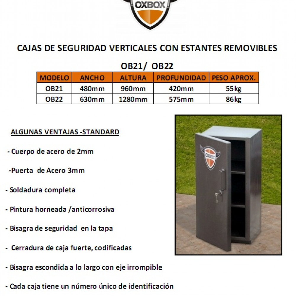 caja-de-seguridad-verticales-con-estantes-removibles