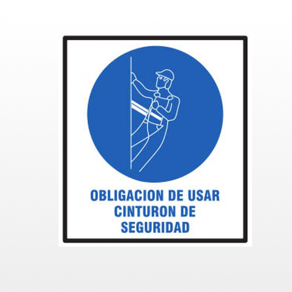 oblig-usar-cinturon-de-seguridad